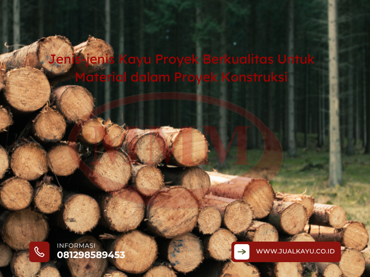 Jenis-jenis Kayu Proyek Berkualitas Untuk Material dalam Proyek Konstruksi