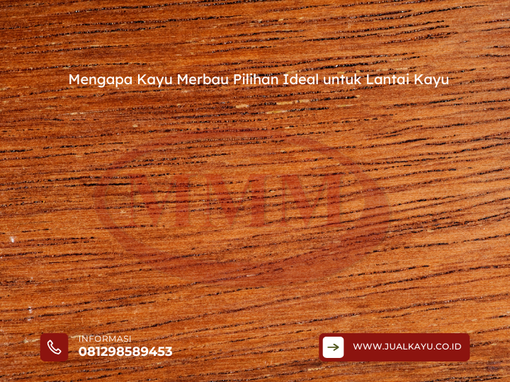 Mengapa Kayu Merbau Pilihan Ideal untuk Lantai Kayu