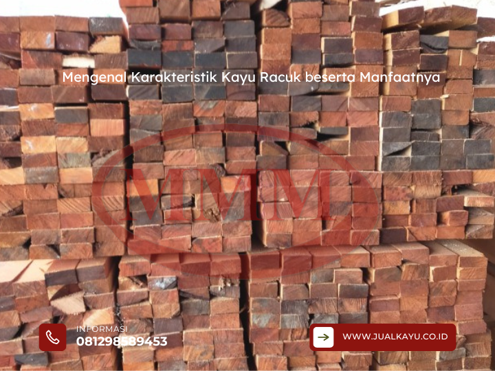 Mengenal Karakteristik Kayu Racuk beserta Manfaatnya